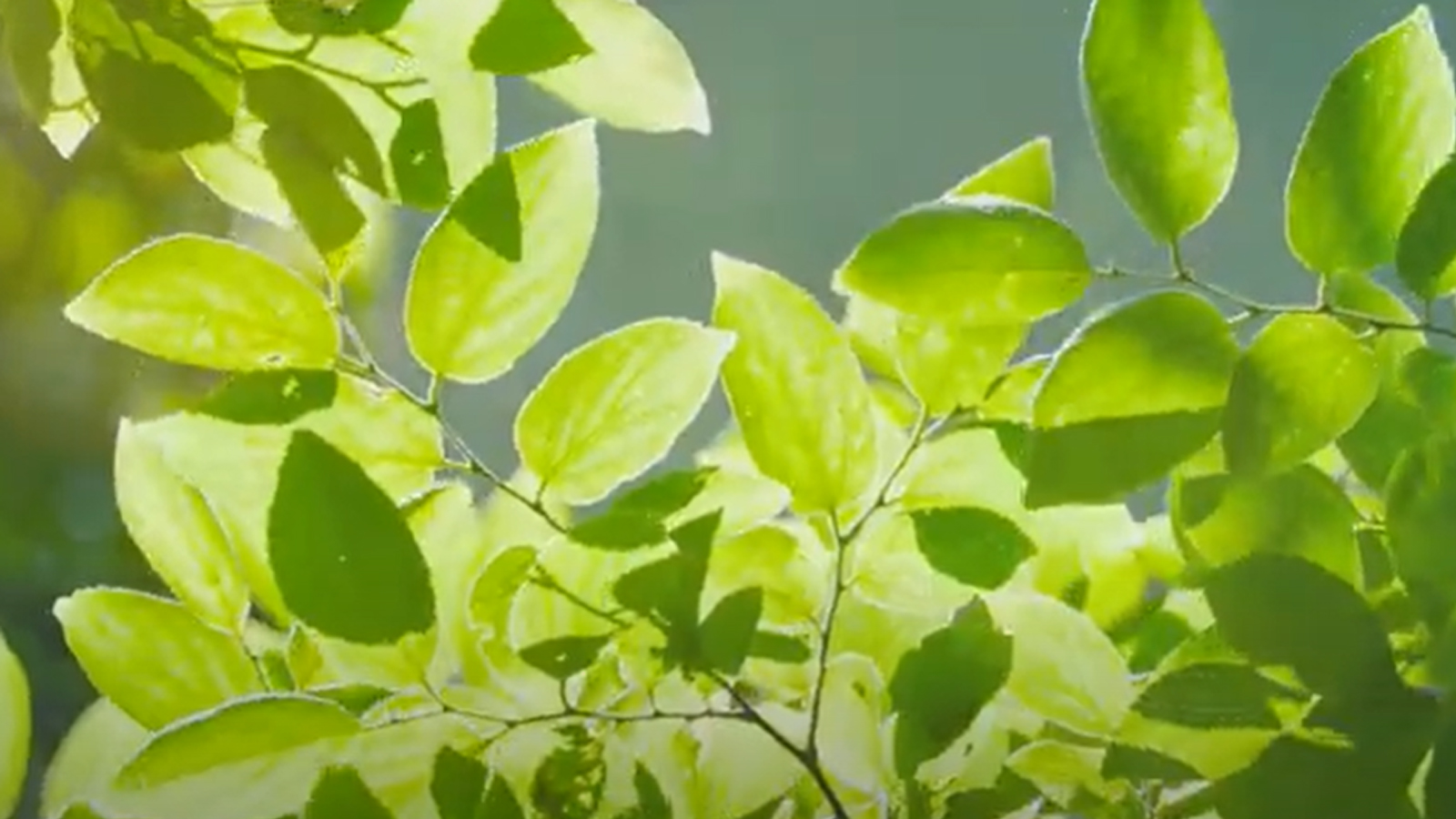 Ruizhi Machinery is reshaping the future of the industry with green intelligent manufacturing